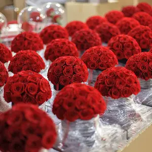 Wholesale factory directly supply forever roses preserved flower mushroom shape preserved rose