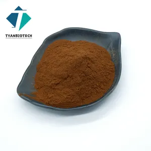 Factory Supply Tea Seed Powder For Hair