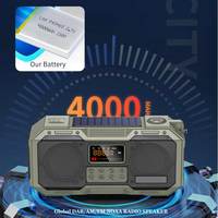 Auto-assistance Catastrophe Naturelle Diffusion SOS Antenne Longue AM FM DAB NOAA Transmetteur Subwoofer Signal Multibande Radio Haut-Parleur
