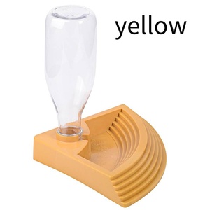 สัตว์เลื้อยคลาน เต่า กระจอก กิ้งก่า สิงโต อีกูยาน่าสีเขียว - Product Image 5