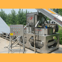 Volautomatische Industriële Verse Groenten En Fruit Gedroogd Fruit Mango Rozijn Wassen Drogen Machine Fruit Lijn