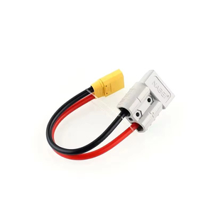 Fabriek Maatwerk 2 + 6 Socket Naar Xt90 E Bike Batterij Opladen Adapter Kabel Draad Harnas - Product Image 5