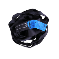 America Lifting Pulling & Positioning Cadena unidireccional 500kg Correas planas Sling Stage Self Climbing Truss Motor Hoist