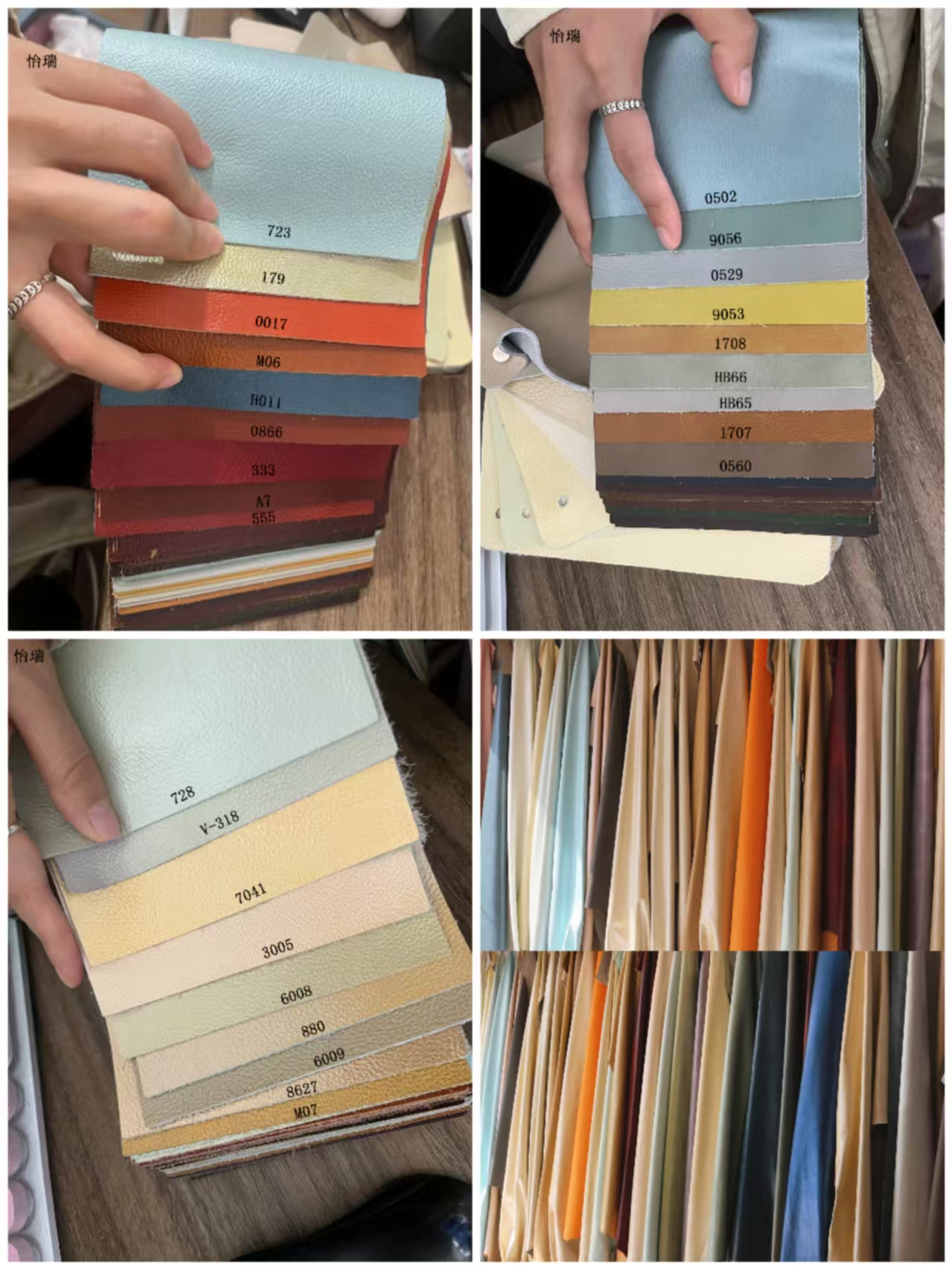 Options de couleur