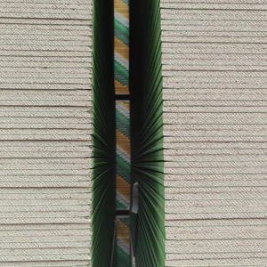 Panneau de gypse en papier fait sur commande de qualité supérieure éconergétique pour les projets de construction de cloisons murales internes - Product Image 3