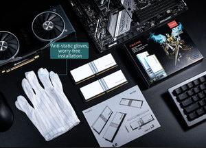 Memoria RAM Asgard <span class=keywords><strong>Valkyrie</strong></span> 32GB 6400 DDR5 per Computer Desktop - Product Image 3