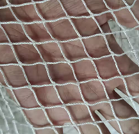 Filet de pêche en nylon ou polyester tressé blanc de haute qualité 210D/36ply 1.5cm de longueur latérale