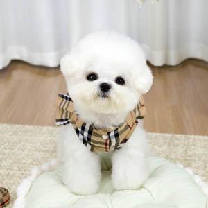 Nueva Ropa para Mascotas, Estilo Universitario, Conjuntos Casuales para Parejas, Vestido Ligero de Verano con Estampado a Cuadros para Perros y Gatos - Product Image 4