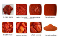 Hoge capaciteit tomatensaus productielijn, tomatenpuree verwerkings- en snijmachine, tomatenconservenmachine