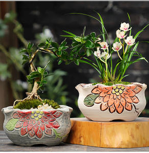 Maceta Grande de Cerámica para Suculentas, Estilo Contemporáneo, Ecológica, de Cerámica Rústica, con Orificio de Drenaje, Creativa, Simple, de Gran Diámetro - Product Image 2