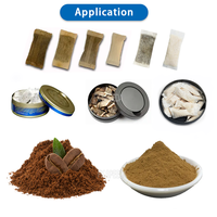 Machine à emballer automatique de remplissage de poudre de Snus humide de sachet de tissu non tissé de 0.5g 1g