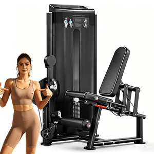 Wholesale Price Hot Sale New Design <b>Leg</b> Extension Home Gym Fitness Equipment Accessories WD-F2019 Your Trusted Fitn - Product Image 1