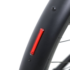 Vélo électrique TXED Factory 700C, moteur 36V 250W, double batterie (9.8AH+5AH), capteur de couple, freins hydrauliques - Product Image 6