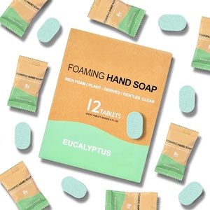 <b>Mini</b> Portable Eco Friendly Foaming Hand <b>Soap</b> Tablets Biodegradable Solid Hand <b>Soap</b> Tablets Multi-purpose household chemicals - Product Image 1