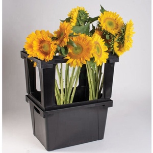 Secchio danese rettangolare in plastica nera per negozio di fiori in <span class=keywords><strong>vendita</strong></span> - Product Image 2