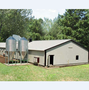 Poulailler industriel métallique personnalisé pour poules pondeuses – Haute qualité et <span class=keywords><strong>prix</strong></span> compétitifs, remplissage automatique d'eau - Product Image 2
