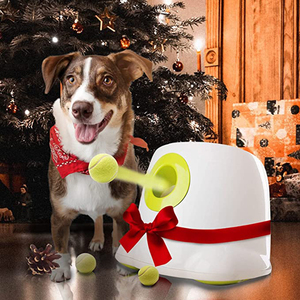 Köpekler için otomatik köpek topu başlatıcısı interaktif yavru evcil hayvan topu kapalı Thrower makinesi küçük ve orta köpekler için Fetch makinesi - Product Image 3