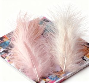 Plumes de dinde entièrement floquées à clipser, série Macaron, fournitures de bricolage, matériaux pour attrape-rêves et jouets pour chats, accessoires vestimentaires - Product Image 4