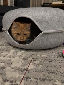 Lit pour chat en forme de donut, tunnel, nid, détachable, en feutre, lavable, jouet amusant pour chat, structure composite à double couche - Product Image 3