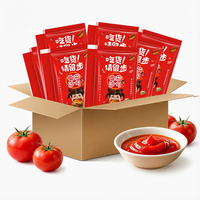 Sauce tomate et ketchup en sachet individuel pour burgers, frites et poulet frit – Assaisonnement commercial du fabricant chinois