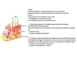 Elektroporatie Mesotherapie Machine Huid Aanscherping Gezicht Lift <span class=keywords><strong>Microcurrent</strong></span> Gezicht Toning Apparaat - Product Image 5