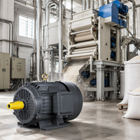 Moteur asynchrone triphasé 50Hz 3kW 4CV pour moulin à riz