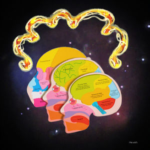 Puzzle anatomi otak kayu 16 bagian struktur otak biologi Jigsaw <span class=keywords><strong>STEM</strong></span> pendidikan mainan anak-anak untuk anak laki-laki perempuan usia 3 + Tahun - Product Image 2