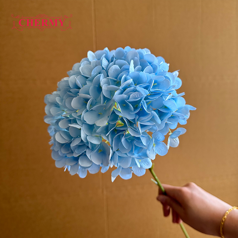 #12 hortensias bleus à grosse tête - 18 cm