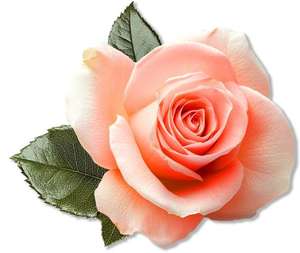 Aimants de réfrigérateur créatifs sur le thème des plantes avec divers motifs de feuilles - Product Image 3