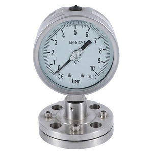 Acid Resistant <strong>Pressure</strong> <strong>Gauge</strong> Diaphragm Type <strong>Price</strong> - Product Image 3