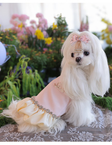 Vêtements pour animaux de compagnie design haut de gamme printemps/été jupe licou pour chien maltais avec vêtements pour chien perle diamant - Product Image 1