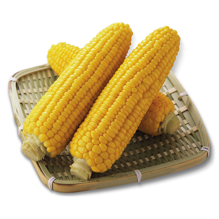 Fresh Yellow sweet corn maize in vacuum packed