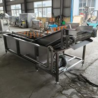 Automatische belletjeswasmachine voor groenten, fruit, vis, voedselverwerking en reinigingsapparatuur