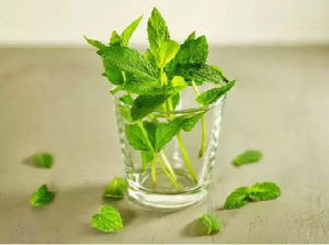 थोक कम कीमत cas 2216-51-5 सिंथेटिक मेनोथॉल पाउडर/मेन्थॉल क्रिस्टल फूड ग्रेड एडिटिव चीन - Product Image 2