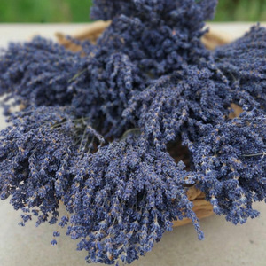 Fiori di Lavanda Essiccati Veri in Offerta Speciale per Potpourri, Sacchetti Profumati, Decorazioni per Matrimoni e Casa - Product Image 6