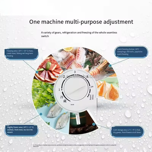 Ghana Sử Dụng 220V 58L Kích Thước Nhỏ Ngực Tủ Đông Có Thể Điều Chỉnh Nhiệt Độ Nhanh Chóng Đóng Băng Với Khung Nhà Thương Mại Sử Dụng Năng Lượng Tiết Kiệm - Product Image 6