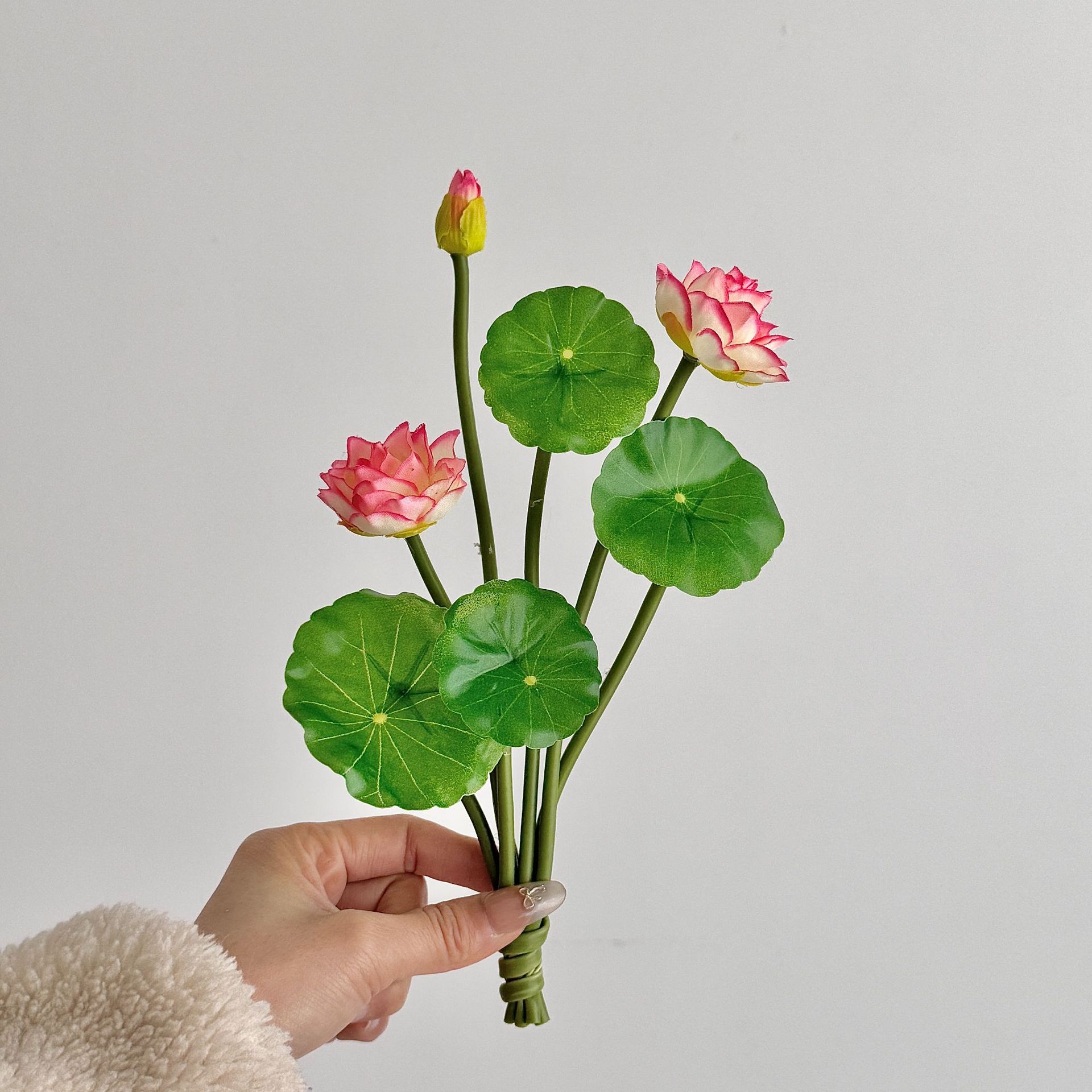 Rosa