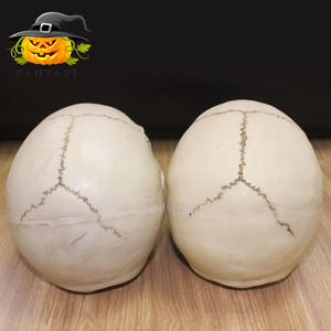 Modèle de crâne adulte réaliste en résine à l'échelle 1:1 pour Halloween, reproduction artistique médicale pour la décoration de salle d'évasion - Product Image 3