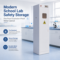 Lemari Logam Anti Api dan Ledakan untuk Penyimpanan Tabung Gas, Aman untuk Laboratorium Sekolah Modern