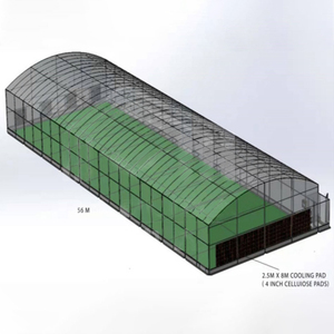 Kit de Invernadero Agrícola Grande de un Solo Vano con Estructura de Acero y Lámina de PE para Cultivo de Tomates y Flores - Product Image 6
