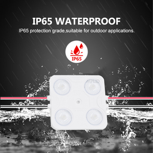 โมดูลไฟ LED แบ็คไลท์ทรงสี่เหลี่ยม คุณภาพสูง ได้รับการรับรอง RoHS มาตรฐาน IP65 ชิป SMD 4 ชิป ใช้ไฟ DC12V/24V กำลังไฟ 2 วัตต์ สำหรับป้ายภายนอกอาคาร - Product Image 6
