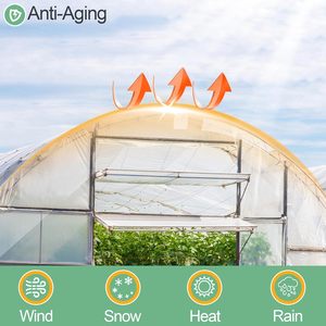 透明な押出成形温室用プラスチックシート 6ミル ポリエチレンフィルム 高耐久 水・太陽・霜・風・埃対策 農業用 - Product Image 6