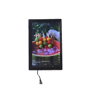10.1 Inch 1280*800 IPS CTP 16:10 LCD with Cabinet plug and play with Android 11.0 for Vendor