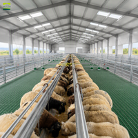 Solution pour projet d'élevage de moutons à grande échelle, conception de bergerie, ensemble complet d'équipements d'élevage de moutons