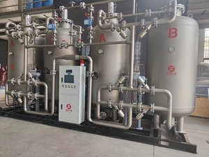 Energiebesparende Psa Stikstof <span class=keywords><strong>Generator</strong></span> Maakt Gebruik Van Geavanceerde Druk Swing Adsorptie Technologie Voor Stabiele Hoge Zuiverheid N2 Productie - Product Image 2