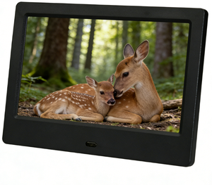 10.1 Inch Commercial Store Advertising Loop Playback Anti Glare <b>Large</b> Digital Photo <b>Frame</b> - Product Image 1
