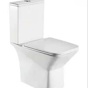 Hot Verkoop Luxe Ptrap Riem Sanitaire Artikelen Twee Stuk Goedkope Chinese Wc Badkamer Toilet