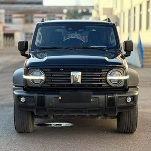 Tank 300 2024 330 3.0T V6 SUV 5 Porte 5 Posti, Auto Berlina in Vendita in Cina, Tank 300 Veicolo Usato - Product Image 1