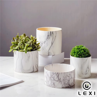 Pot de fleurs en porcelaine à motif marbre moderne, trou de drainage, couleur personnalisée, pour plantes succulentes, cactus, petites plantes d'intérieur, maison, bureau