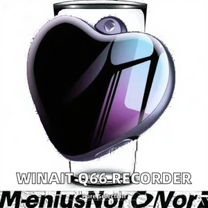 Enregistreur vocal numérique portable USB Winait Q66 avec batterie lithium intégrée, capacité de 4 Go, alliage de zinc, format audio WAV - Product Image 2